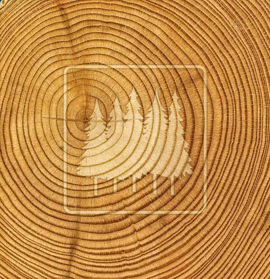 Welco Lumber project thumbnail