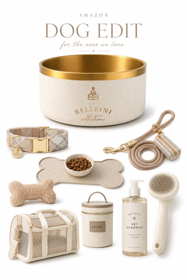 Pinterest pin: Fall dog trends featuring the Belleini bowl
